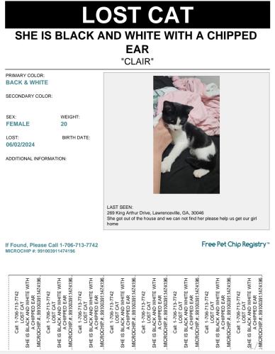 Lost Female Cat last seen King Arthur dr , Lawrenceville, GA 30046