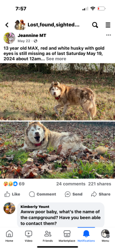 Lost Male Dog last seen Near Schroeder rd , Powhatan, VA 23139