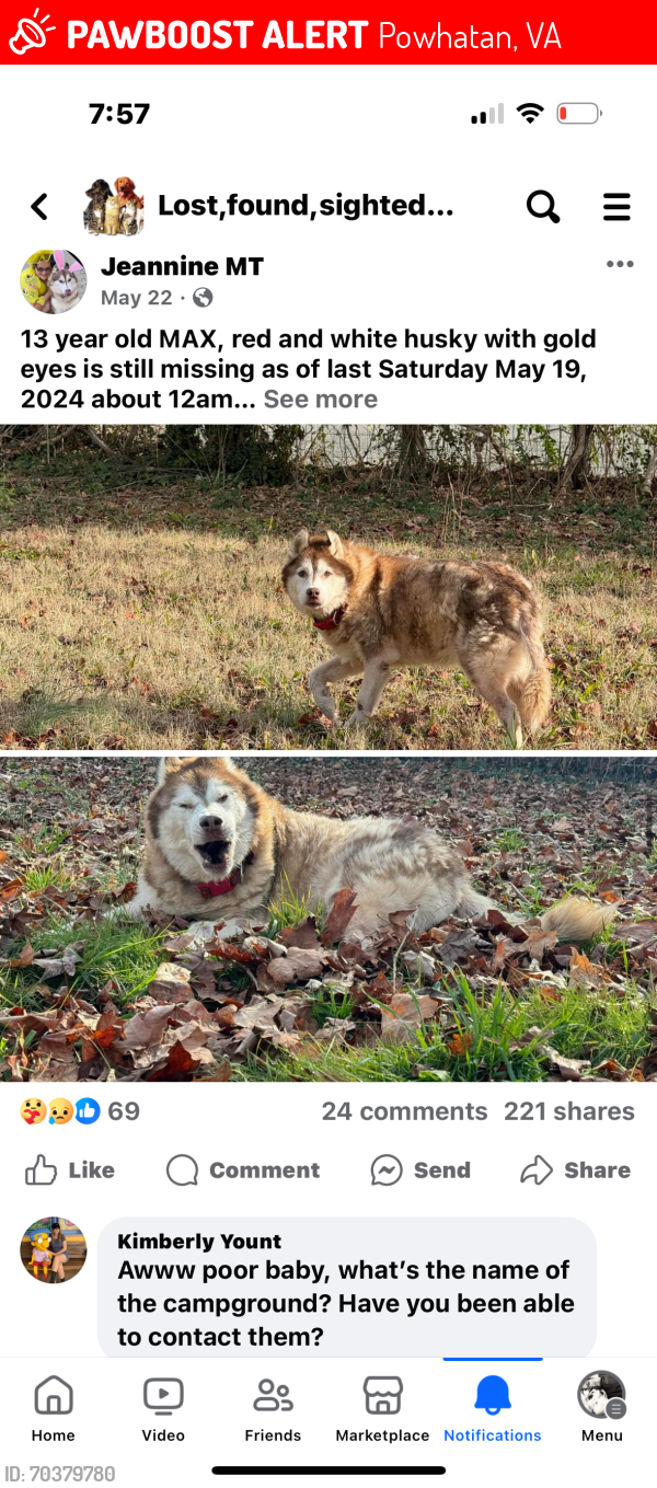 Lost Male Dog last seen Near Schroeder rd , Powhatan, VA 23139