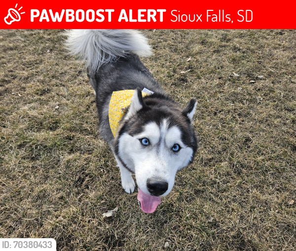 Lost Male Dog last seen Premier Center, Sioux Falls, SD 57104