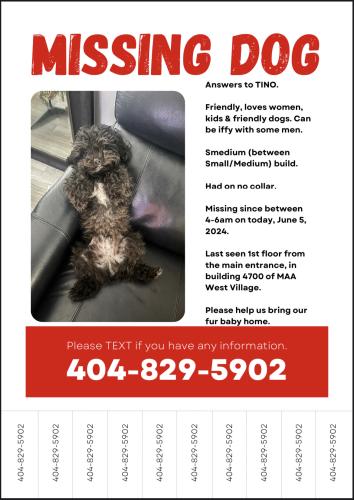 Lost Male Dog last seen MAA WEST VILLAGE, Smyrna, GA 30080