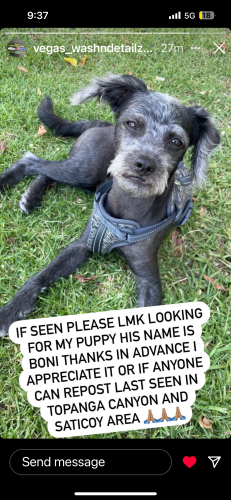 Lost Male Dog last seen Near Covello st Canoga Park CA, Topanga, CA 90290
