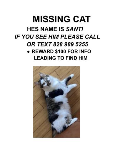 Lost Male Cat last seen Near Dustin dr, Swannanoa, NC 28778