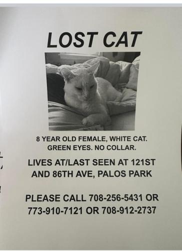 Lost Female Cat last seen Palos park, Palos Park, IL 60464
