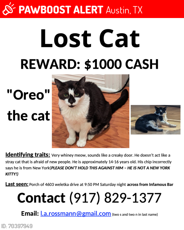 Lost Male Cat last seen Weletka Dr and Watumba Rd, Austin, TX 78734