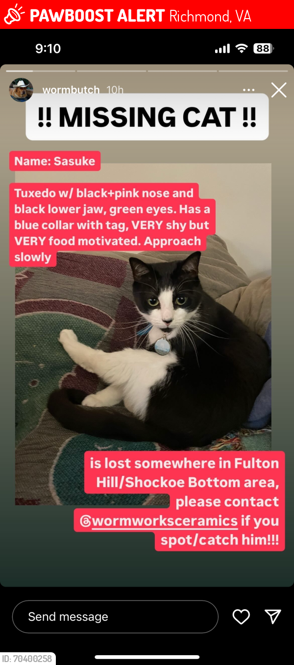 Lost Male Cat last seen Fulton Hill/Shockoe Bottom, Richmond, VA 23231