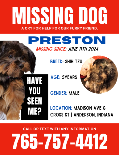 Lost Male Dog last seen MADISON AVENUE, CROSS STREET, Anderson, IN 46011