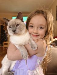 Reunited Male Cat last seen Archer Road and Alexander Road, Davidson, NC 28036