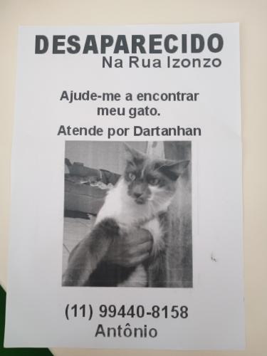 Lost Male Cat last seen Via Anchieta/ e Laranjal , Sacomã, SP 04249-000