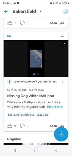 Lost Male Dog last seen East Berkshire St, Bakersfield, CA 93307