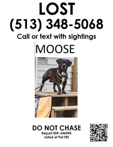 Lost Male Dog last seen Oakwood avd and North Bend, Cincinnati, OH 45224