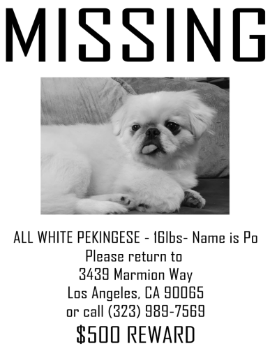 Lost Male Dog last seen Near Loreto St. Elementary School, Los Angeles, CA 90065