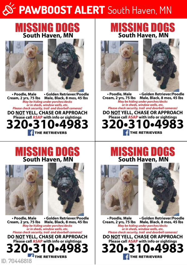 Lost Male Dog last seen CSAH 19, South Haven, MN 55382