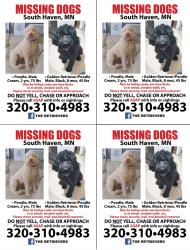 Lost Male Dog last seen CSAH 19, South Haven, MN 55382