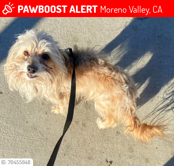 Lost Male Dog last seen Sunnymead Ranch Parkway & Via Del Norte, Moreno Valley, CA 92557