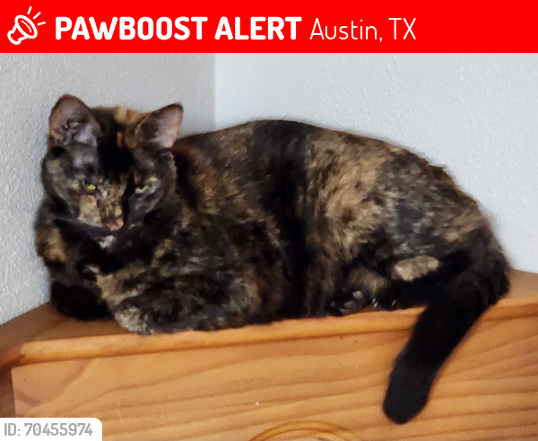 Lost Female Cat last seen Applegate Dr, Walnut Bend, Austin, TX 78753