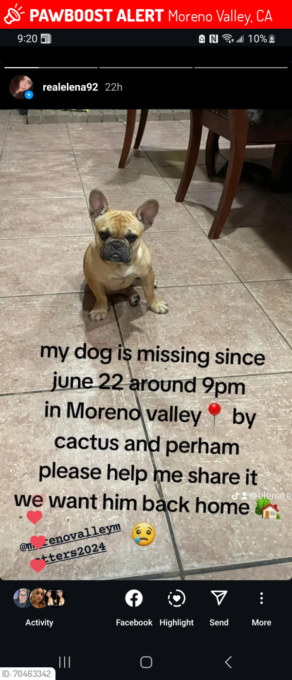 Lost Male Dog last seen Perham & Bostwick , Moreno Valley, CA 92557