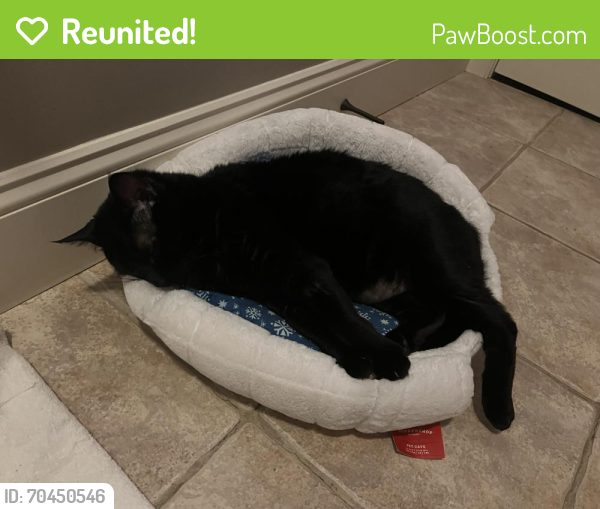 Reunited Female Cat last seen 69th St and Minnesota Ave, Sioux Falls, SD 57108