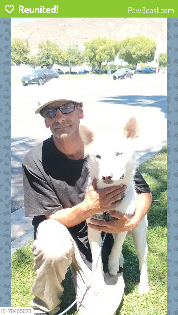 Reunited Male Dog last seen Hunter Hobby Park, Riverside, CA 92507