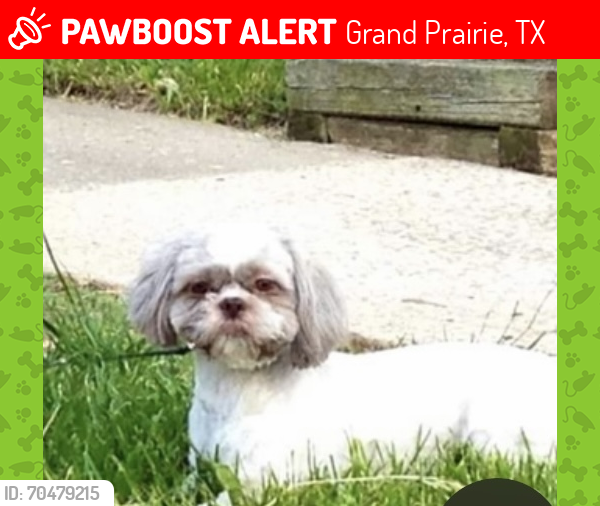 Lost Male Dog last seen Grand Peninsula & Camino Lagos, Grand Prairie, TX 75054