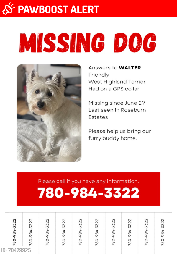 Sherwood Park, AB Lost Male Dog, Walter Is Missing | PawBoost