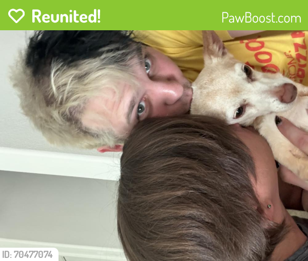 Reunited Male Dog in Las Vegas, NV 89123 (ID: 70477074) | PawBoost