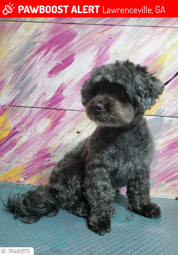 Lost Female Dog last seen Simonton Road, Lawrenceville, GA 30045