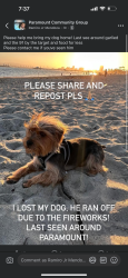 Reunited Male Dog last seen Near Garfield Ave, Paramount, CA 90723, USA, Paramount, CA 90723