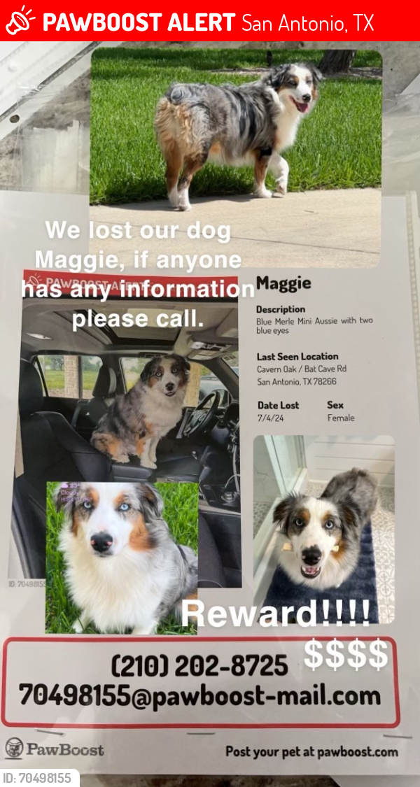 Lost Female Dog last seen Cavern Oak / Bat Cave Rd, San Antonio, TX 78266