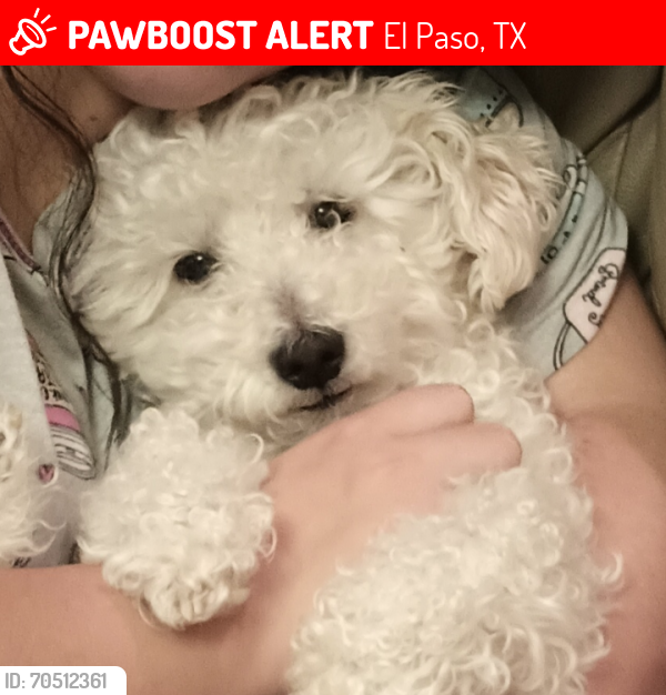 Lost Male Dog last seen Mesquite Hills, El Paso, TX 79934