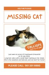 Reunited Female Cat last seen Haverhill and Cresthaven, Lake Worth Beach, FL 33460