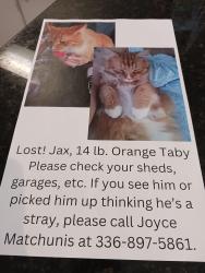 Lost Male Cat last seen Lemons road, Rockingham County, NC 27357