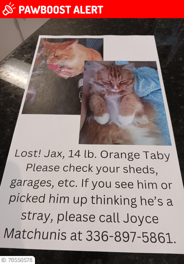 Lost Male Cat last seen Lemons road, Rockingham County, NC 27357