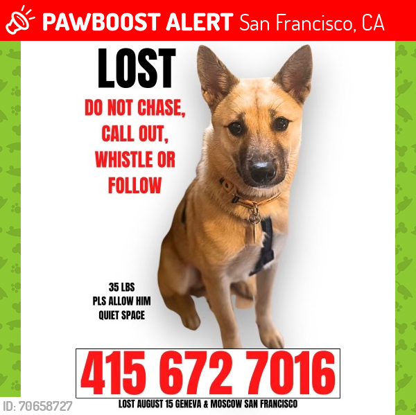 Lost Male Dog last seen Crocker Amazon , San Francisco, CA 94112
