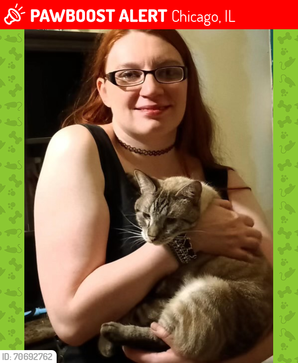 Lost Male Cat last seen 140th st & Manistee, Chicago, IL 60633