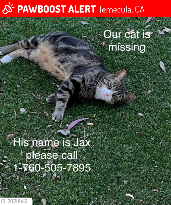 Lost Male Cat last seen Creative dr, Temecula, CA 92591