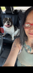 Lost Male Dog last seen Near Neva Rd Antigo Wi 54409, Antigo, WI 54409