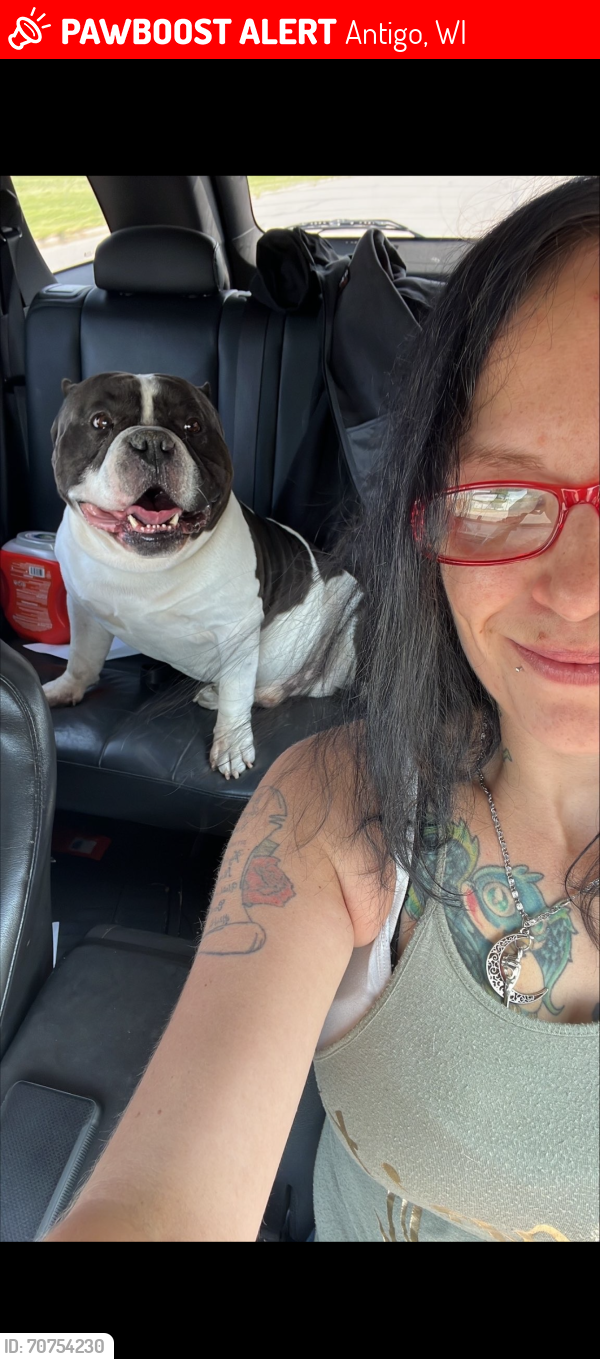 Lost Male Dog last seen Near Neva Rd Antigo Wi 54409, Antigo, WI 54409