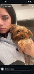 Reunited Female Dog last seen Arlington & Mitc Ave near Rosemary Kennedy Elementary School , Riverside, CA 92505