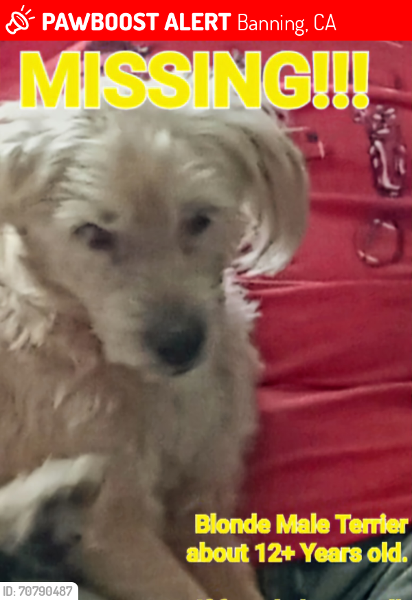 Lost Male Dog last seen Williams & Sunrise Banning, Banning, CA 92220