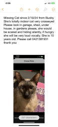 Lost Female Cat last seen Dalkeith Street , Busby, NSW 2168