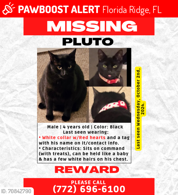 Lost Male Cat last seen Near Old Dixie Hwy SW, Vero Beach, FL 32962, Florida Ridge, FL 32962