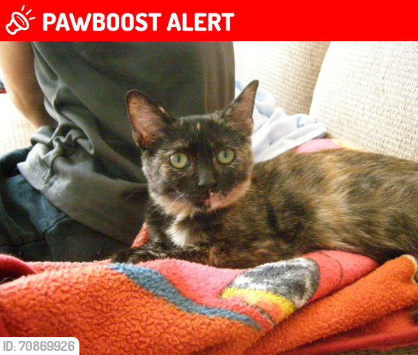 Lost Female Cat last seen Southeast Dagmar Rd. Milwaukie,OR. , Clackamas County, OR 97267