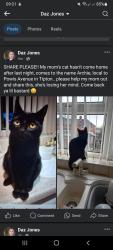 Lost Male Cat last seen Near Powis avenue tipton, Tipton, England 