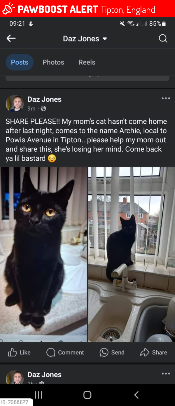 Lost Male Cat last seen Near Powis avenue tipton, Tipton, England 