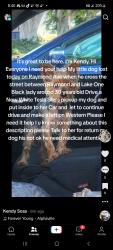 Lost Male Dog last seen Raymond and Lake, Glendale, CA 91201