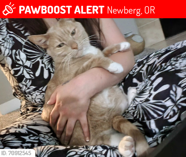 Lost Male Cat last seen Willamette greenway state park wilsonville oregon, Wilsonville, OR 97002