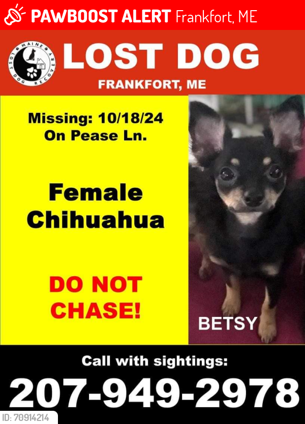 Lost Female Dog last seen Hamm Road/Pease Lane , Frankfort, ME 04438