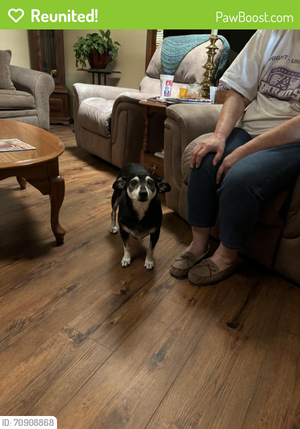 Reunited Male Dog in Edmond, OK 73012 (ID 70908868) PawBoost