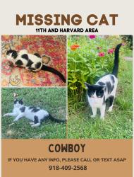 Lost Male Cat last seen Indianapolis and Jamestown , Tulsa, OK 74112